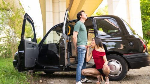 FakeTaxi: No Money No Problem – Megan Love